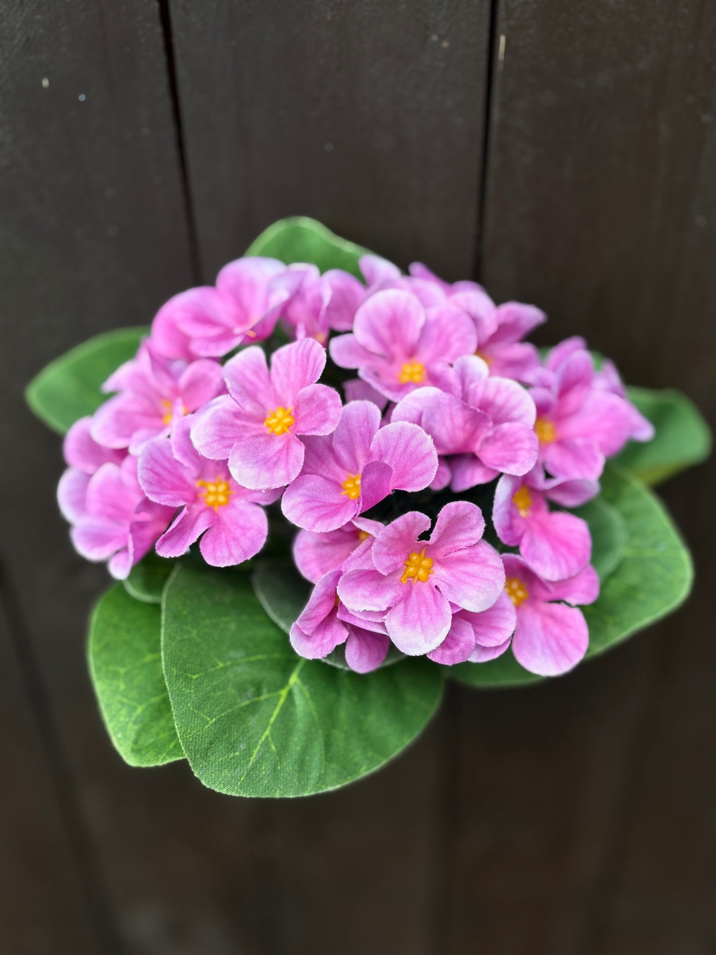 AFRICAN VIOLET BUNCH BLUSH PINK