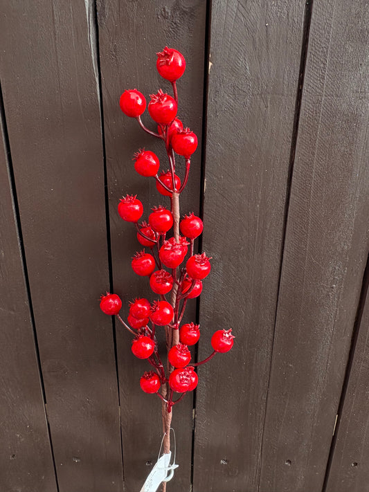 57cm SINGLE GLOSSY ROSEHIP SPRAY