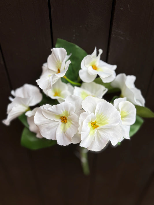 DELUXE PANSY BUNCH WHITE