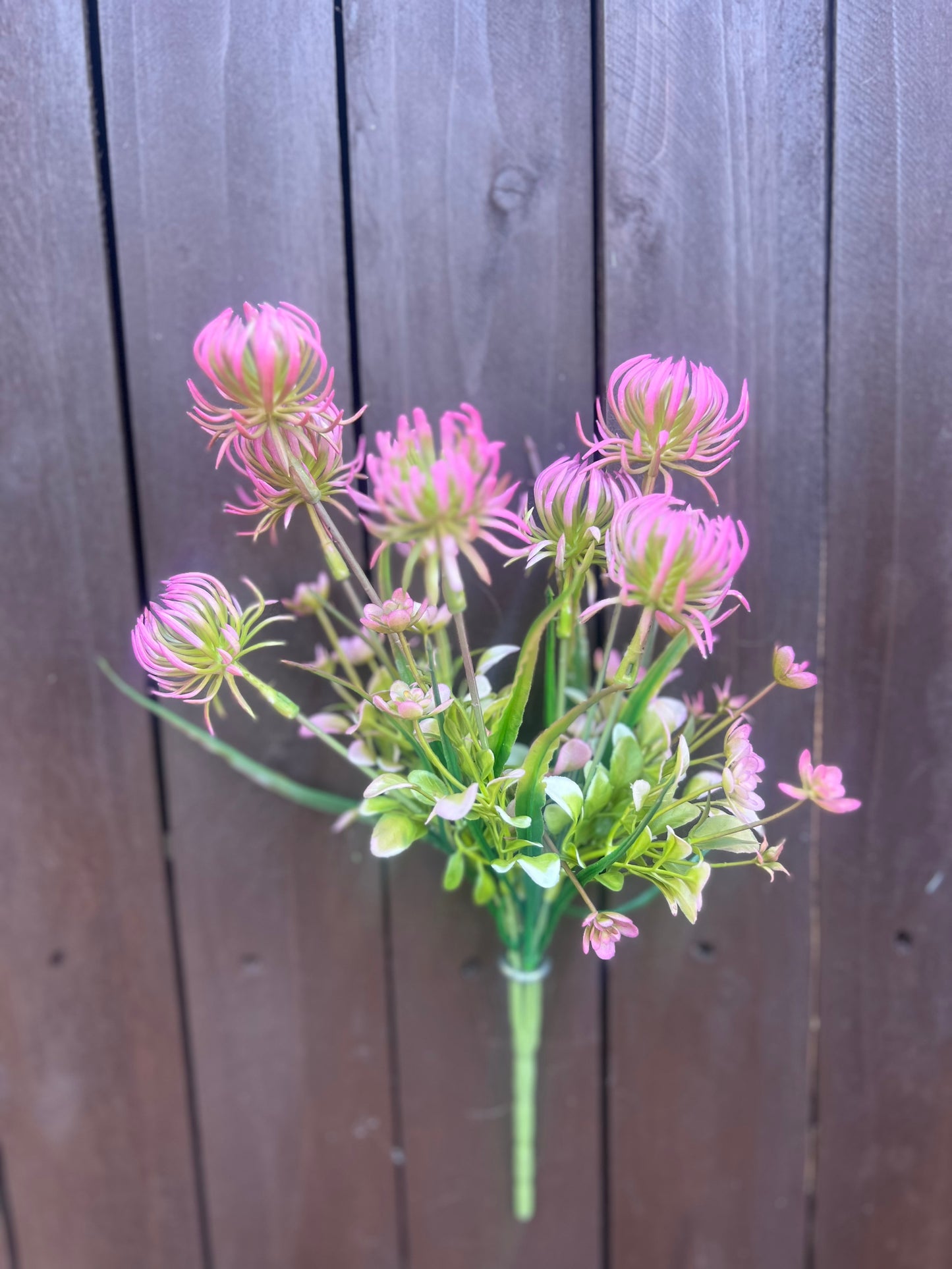 SPIKY SUCCULENT PINK