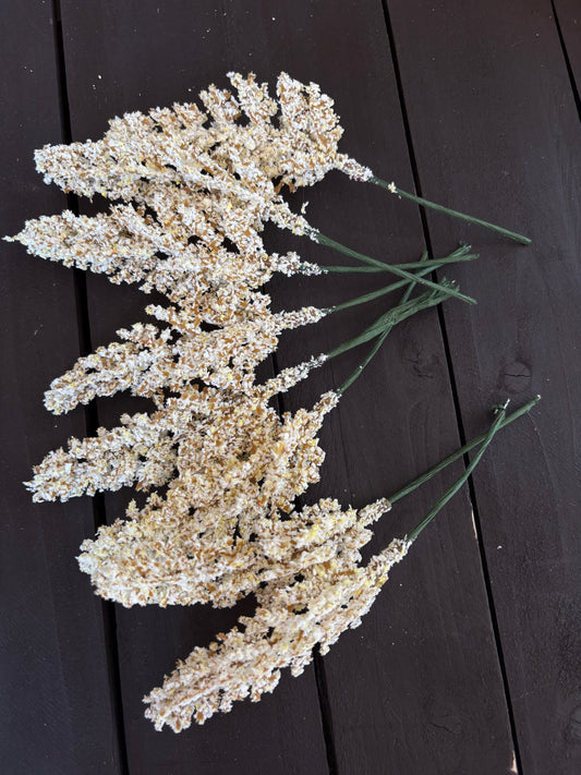 AUTUMN ASTILBE PICK IVORY