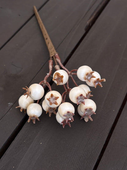 PACK 12 20cm GLOSSY ROSEHIP IVORY
