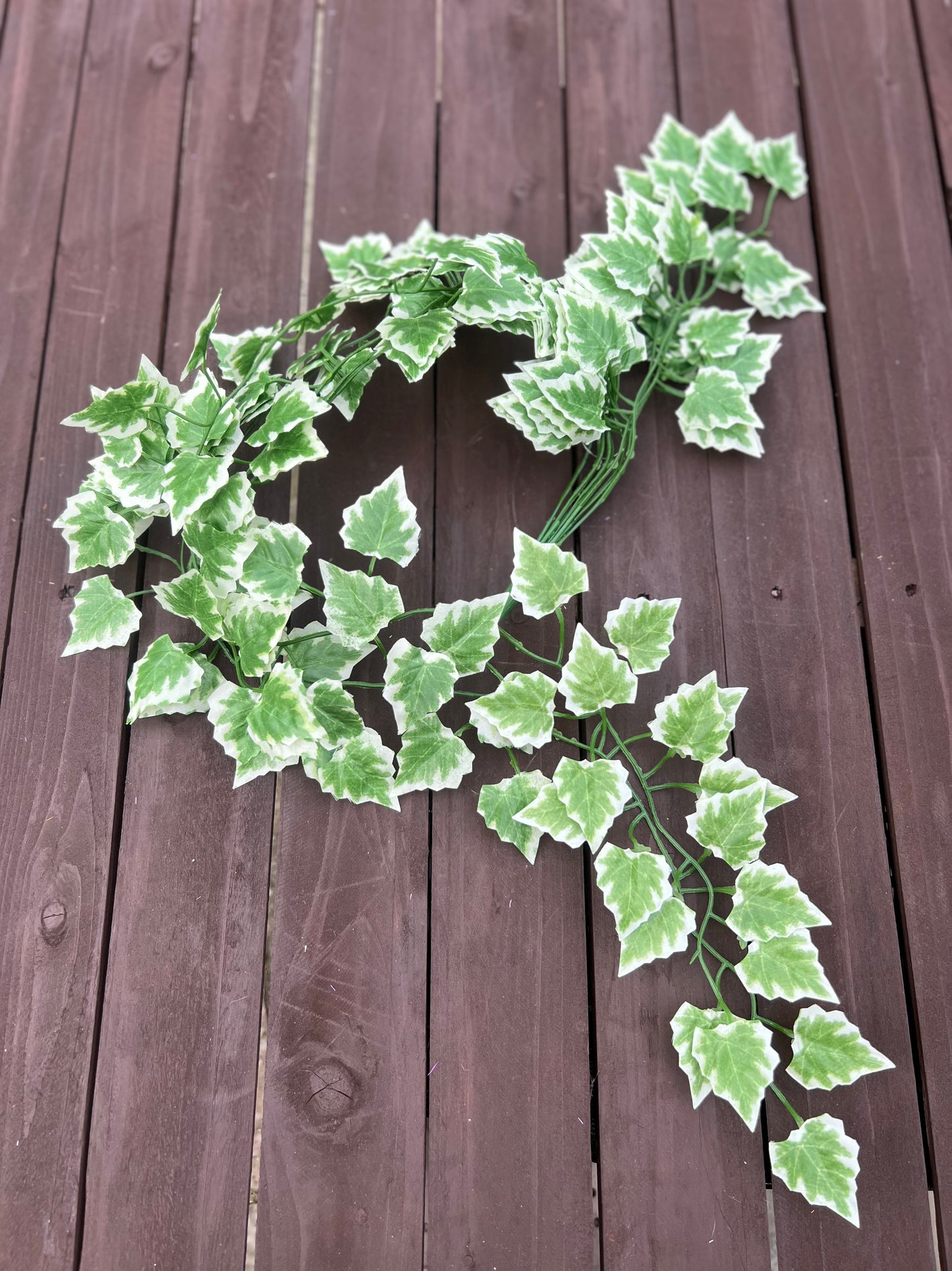 90cm SLIM IVY TRAIL VARIEGATED