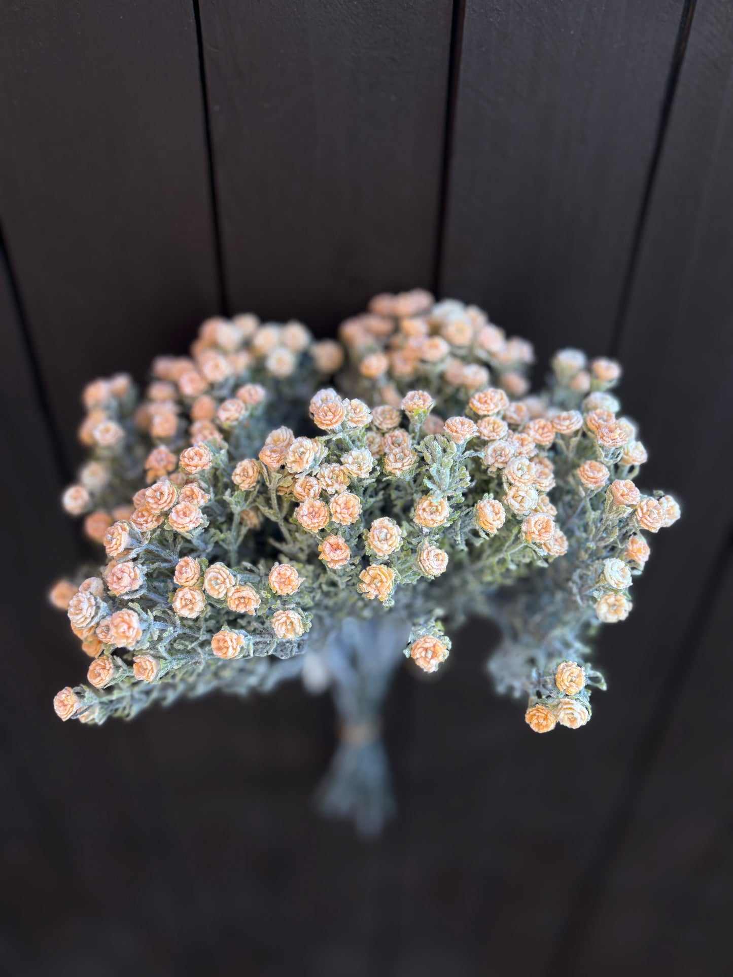 FLOCKED WILD GYPSOPHILA BUNCH ORANGE