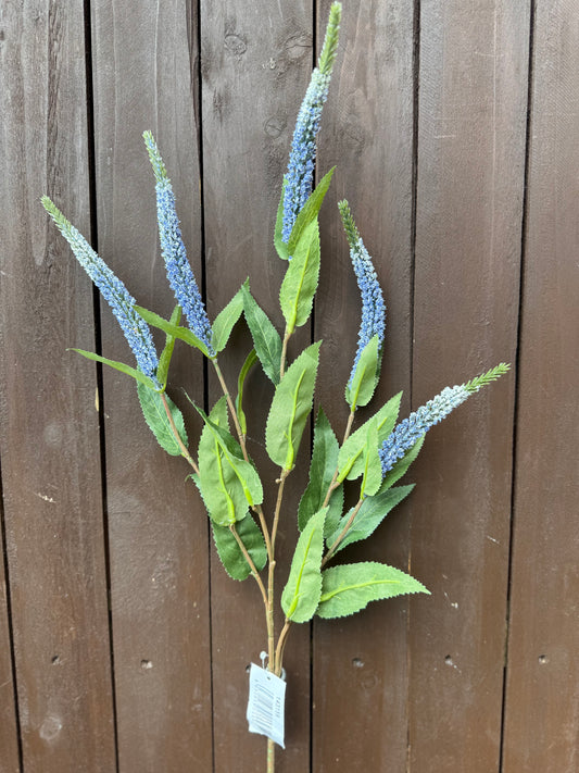 VERONICA SPRAY LILAC