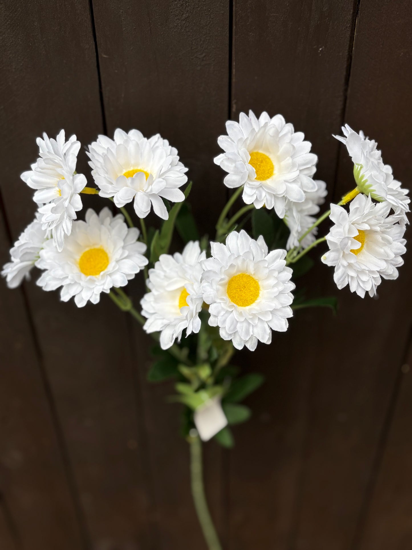 SILK WILD DAISY SPRAY WHITE