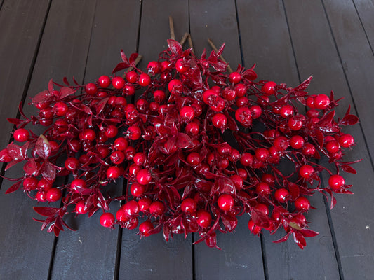PACK 12 23cm LEAFY ROSEHIP RED