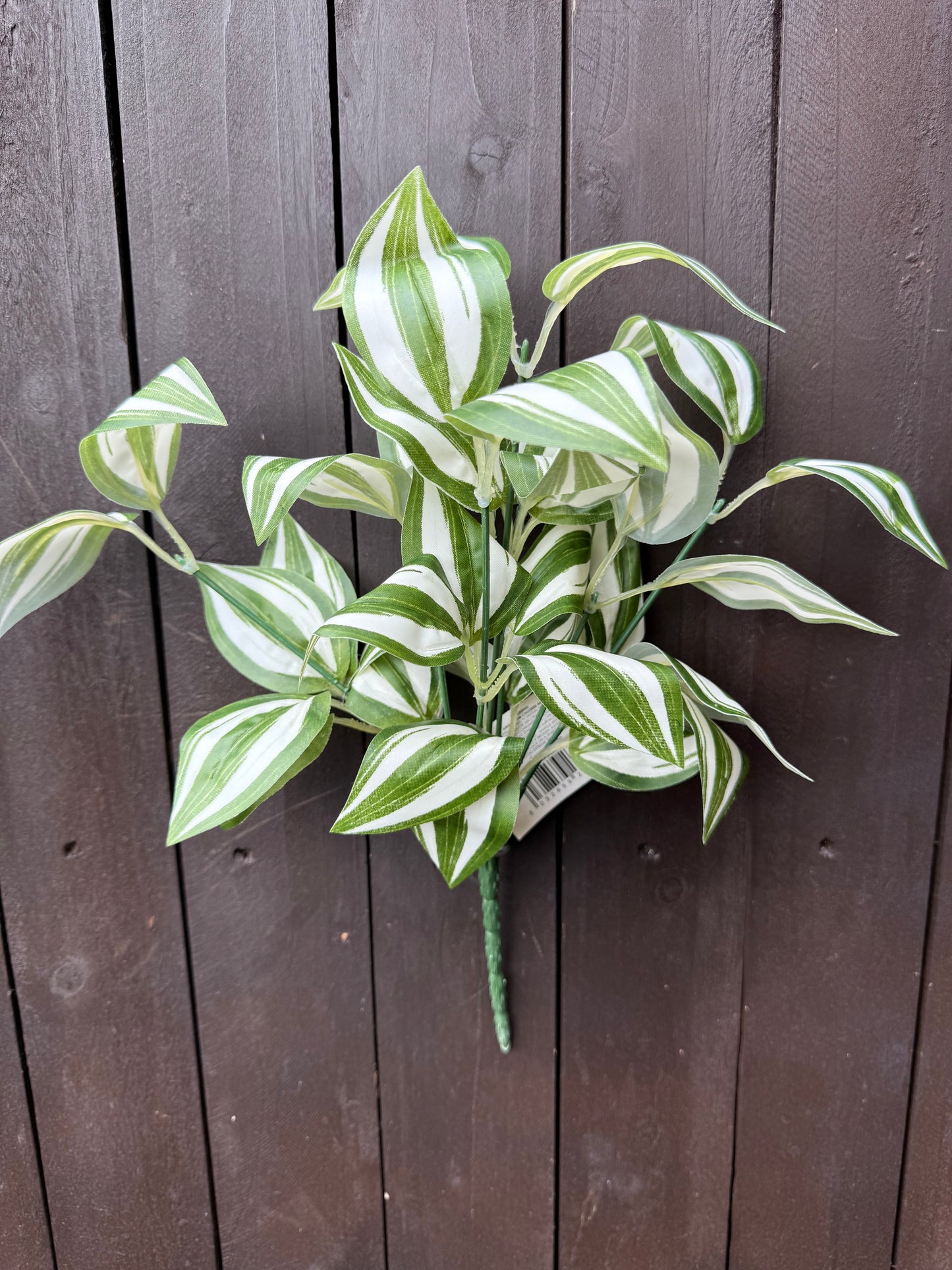 MEDIUM TRADESCANTIA BUNCH WHITE/GREEN