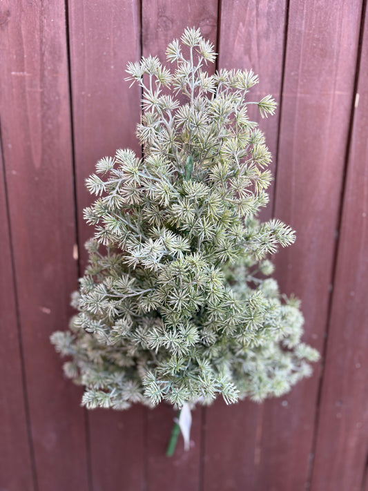 PLASTIC MINI SPIKEY SPRUCE TREE