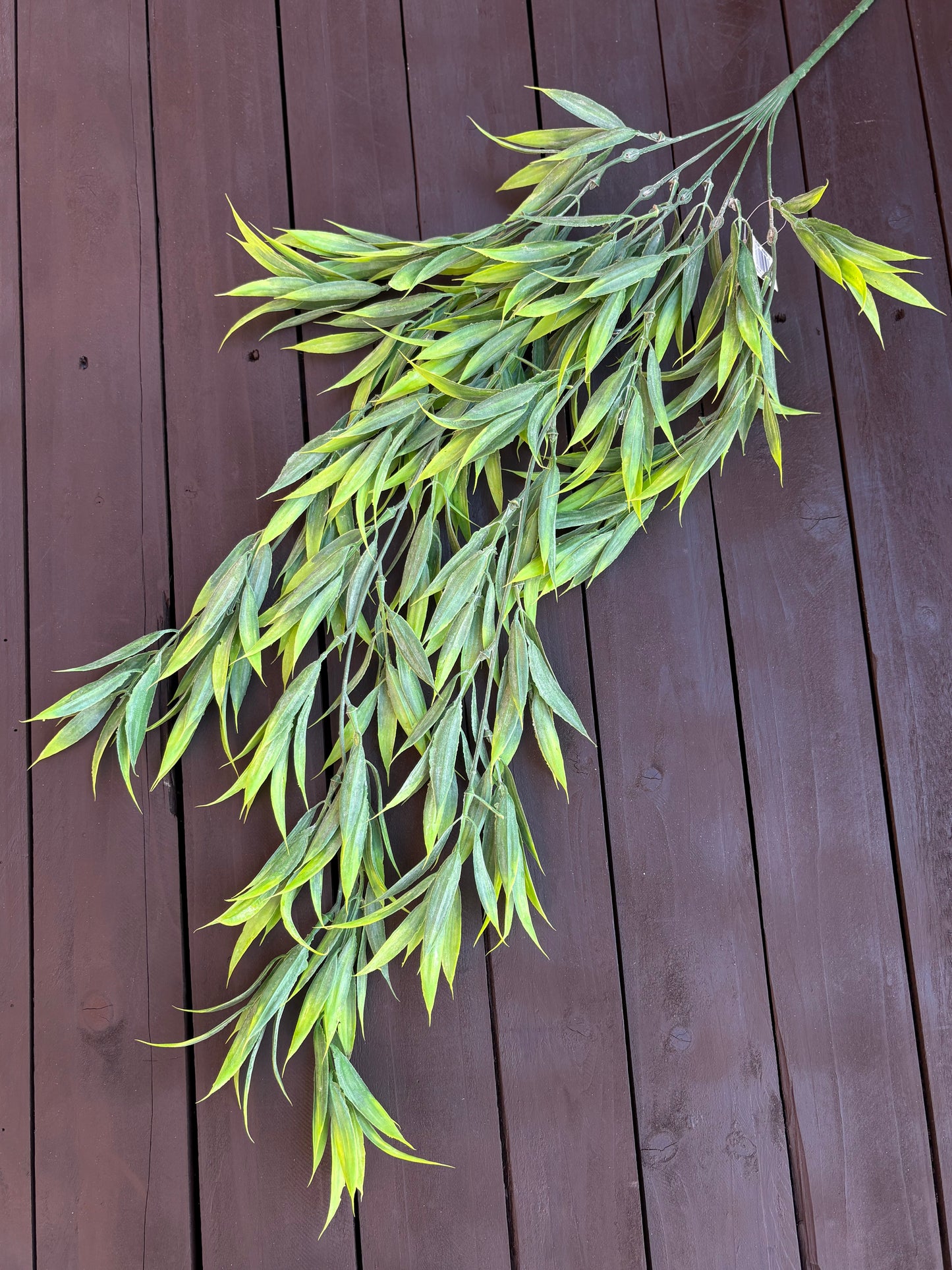 HANGING WILD GRASS BUNCH GREEN