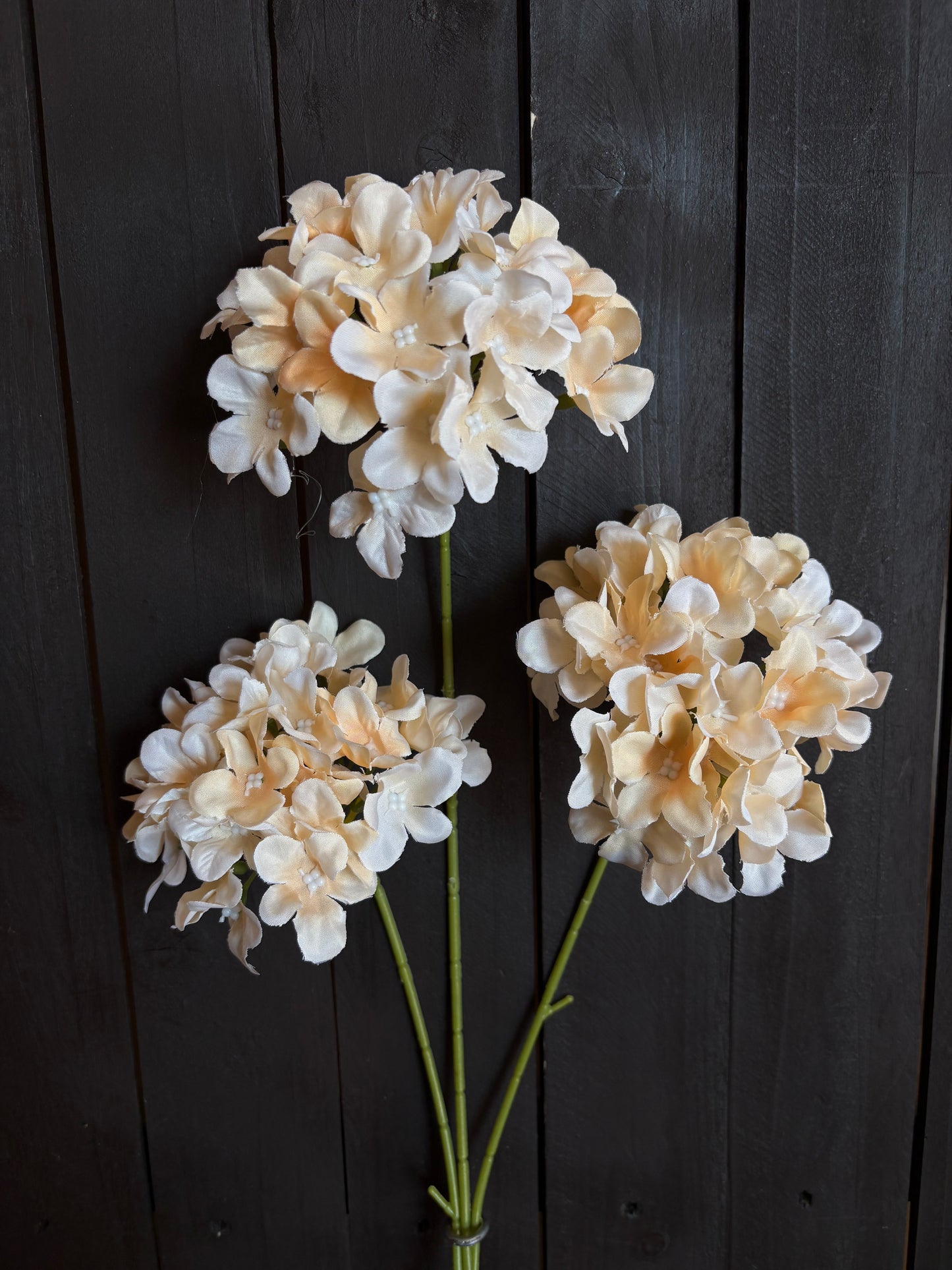 TRIPLE HYDRANGEA STEM APRICOT