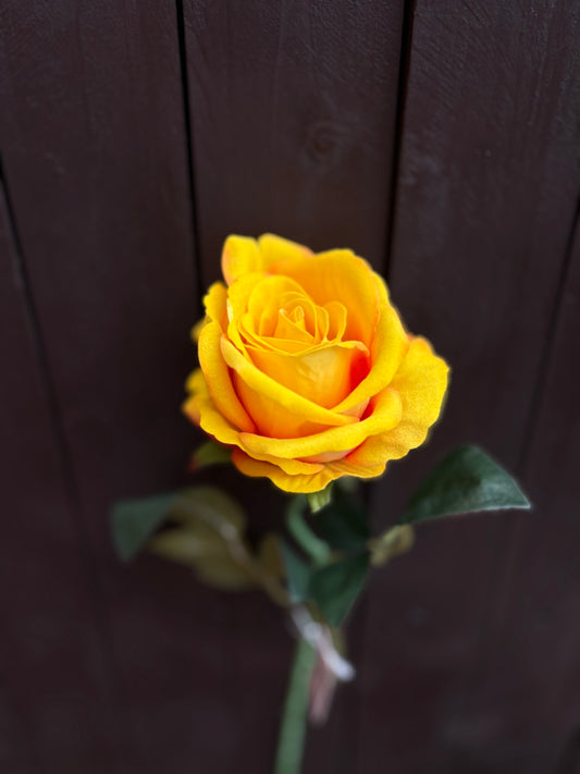52CM SINGLE LARGE VELVET TOUCH OPEN ROSE MUSTARD