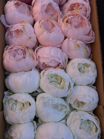 FULL BOX 9cm SINGLE PEONY FLOWER HEAD MIXED COLOURS x36pcs