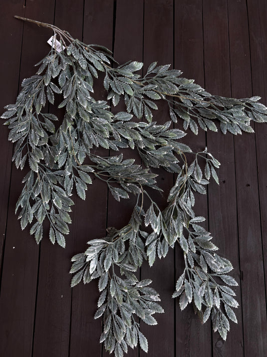TRAILING DUSTED SPIKEY LEAF DARK GREEN