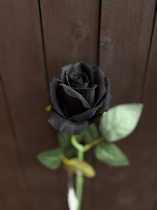 52CM SINGLE LARGE VELVET TOUCH OPEN ROSE BLACK