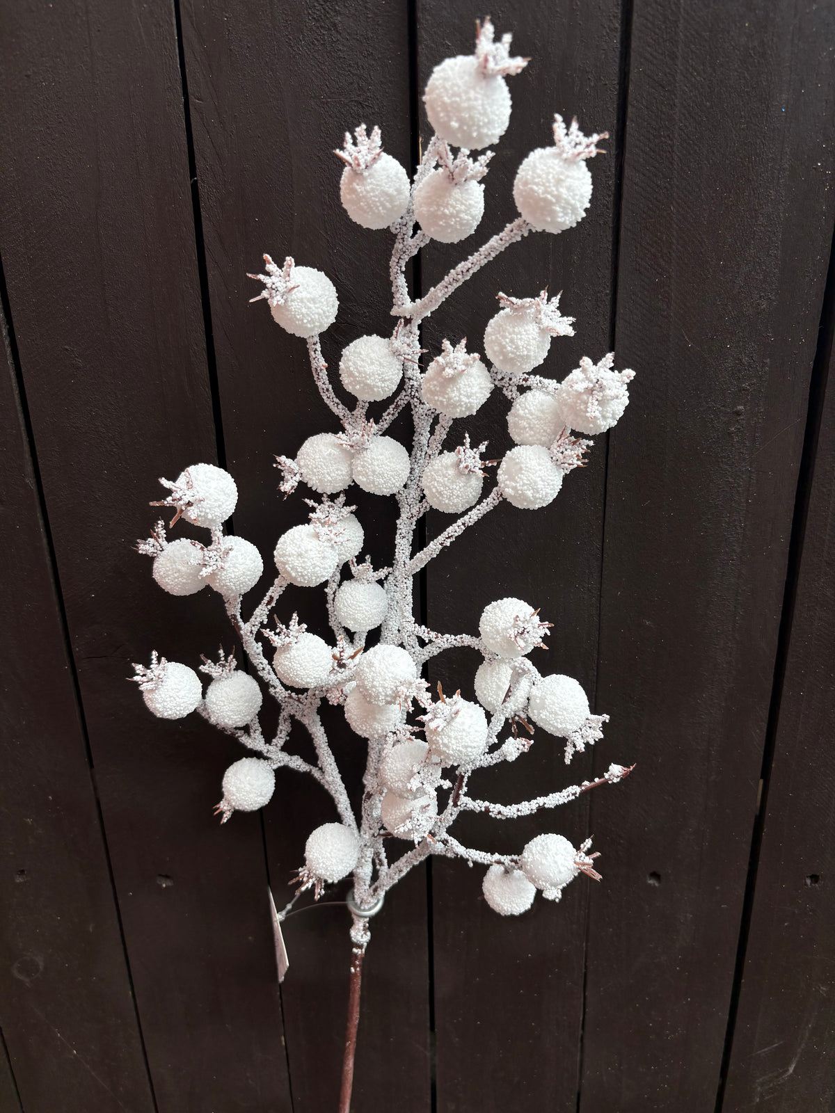 61cm FROSTED ROSEHIP STEM WHITE