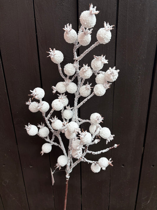 61cm FROSTED ROSEHIP STEM WHITE