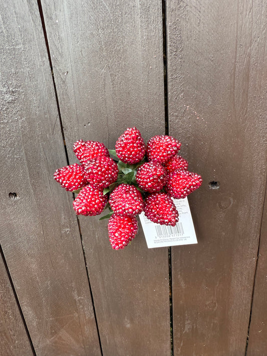 WIRED RASPBERRIES DK RED