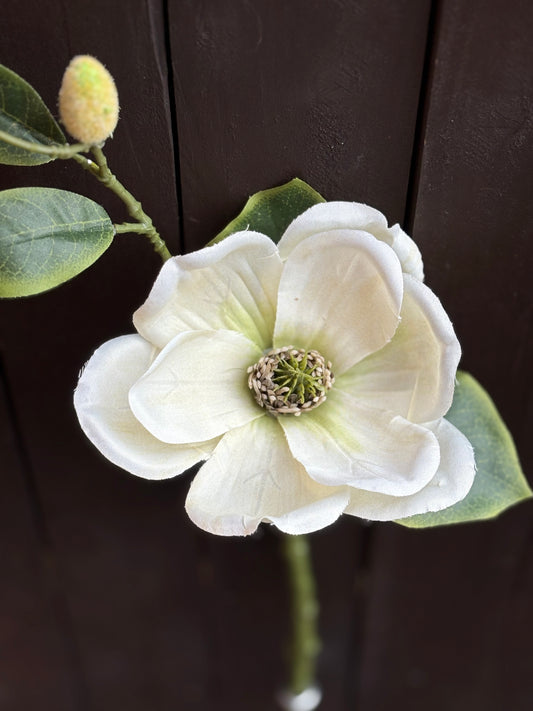 46cm SINGLE MAGNOLIA IVORY