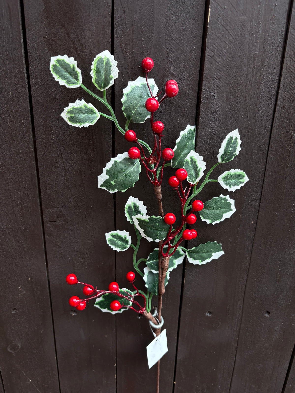 50cm VARIEGATED HOLLY & BERRY SPRAY RED