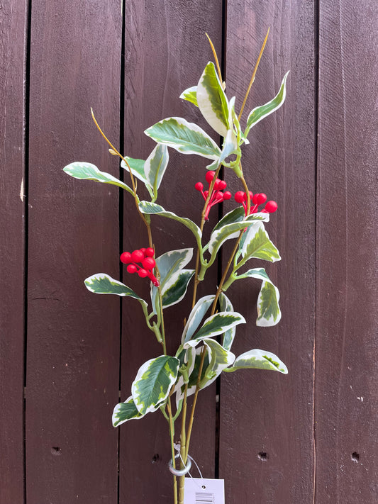 62cm BERRY LEAF SPRAY VARIEGATED/RED