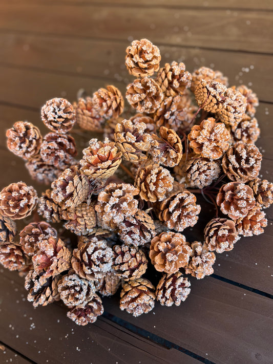 14cm FROSTED NATURAL CONE PICK PK12 BUNCHES (6 per bunch)