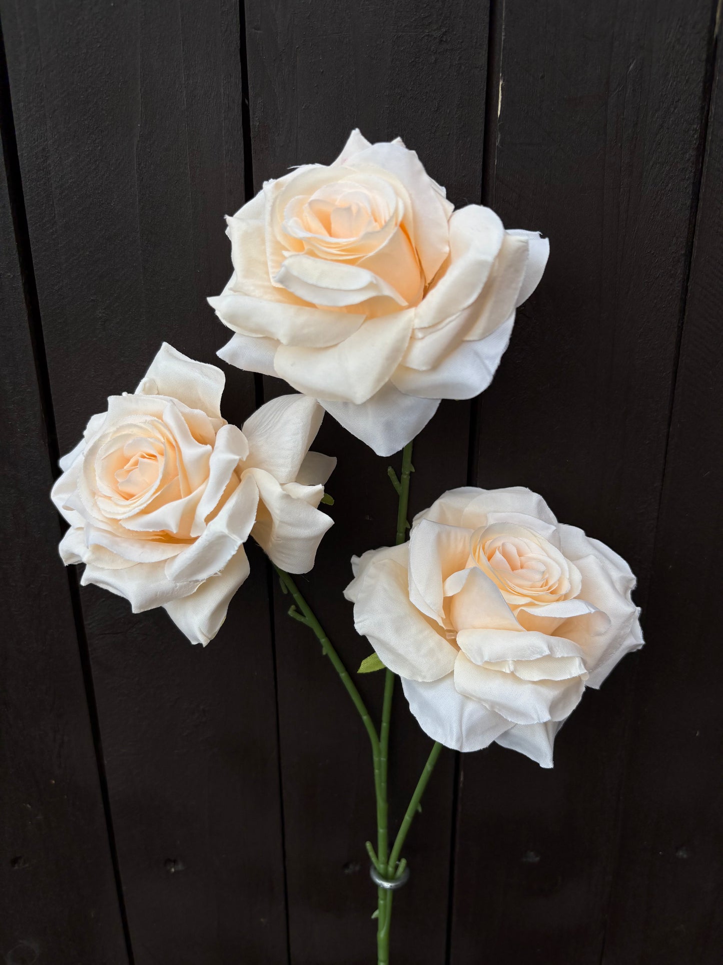 TRIPLE DIAMOND ROSE BUNCH APRICOT