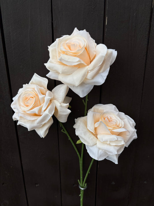TRIPLE DIAMOND ROSE BUNCH APRICOT