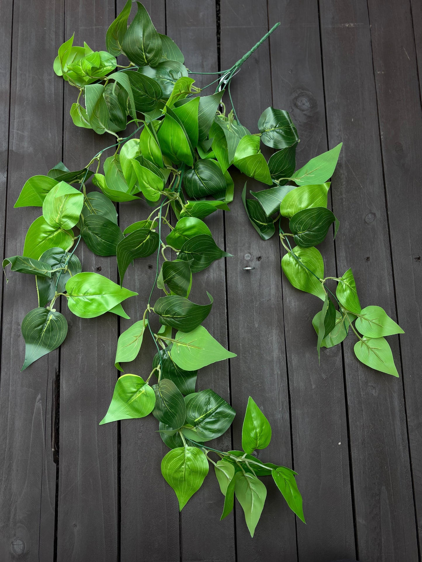 73CM TRAILING POTHOS BUSH GREEN