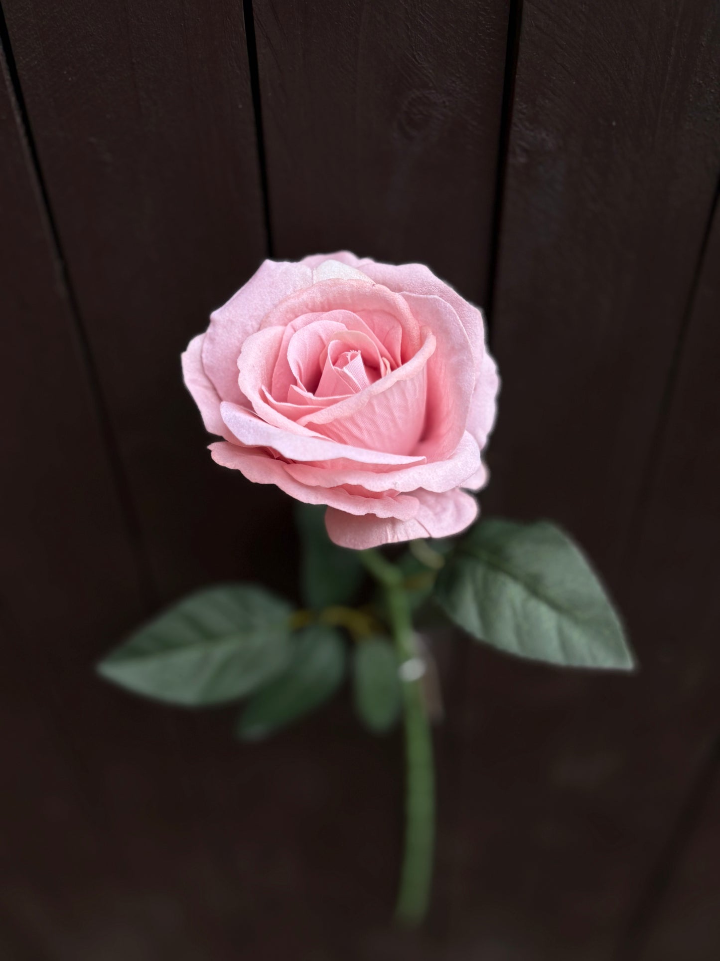 52CM SINGLE LARGE VELVET TOUCH OPEN ROSE VINTAGE PINK