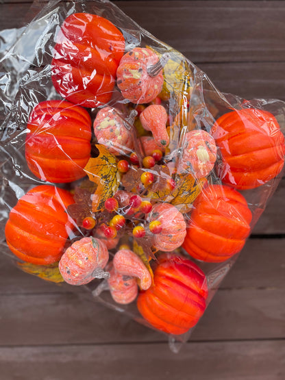 MIX PUMPKIN ORANGE BERRY PK6