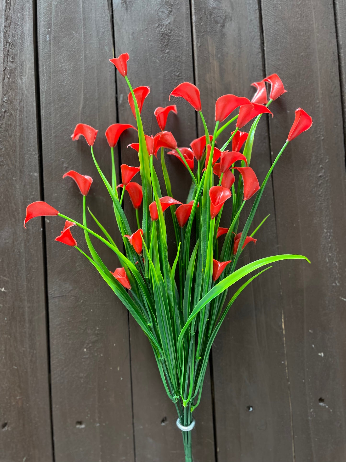 SINGLE CALLA LILY BUNCH RED