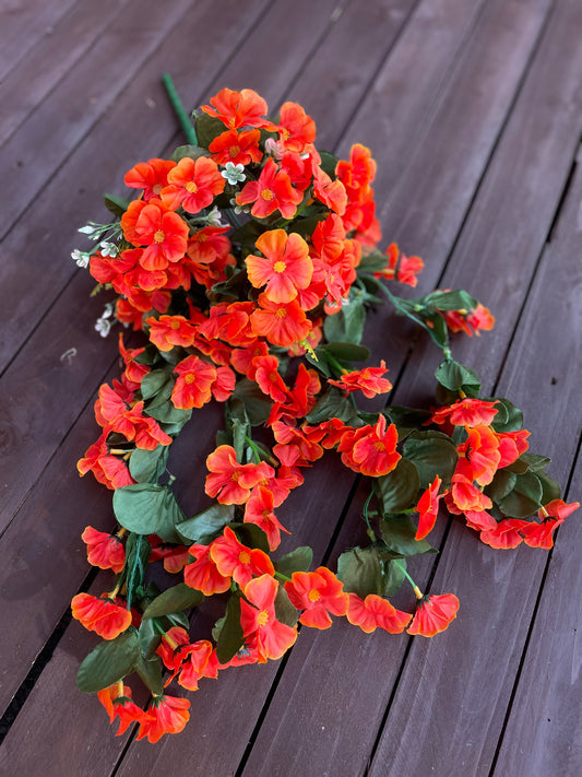 TRAILING NASTURTIUM ORANGE