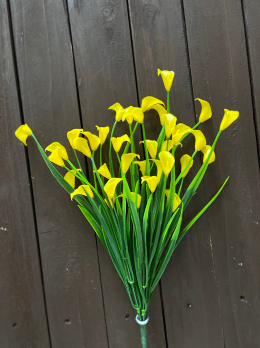 SINGLE CALLA LILY BUNCH YELLOW