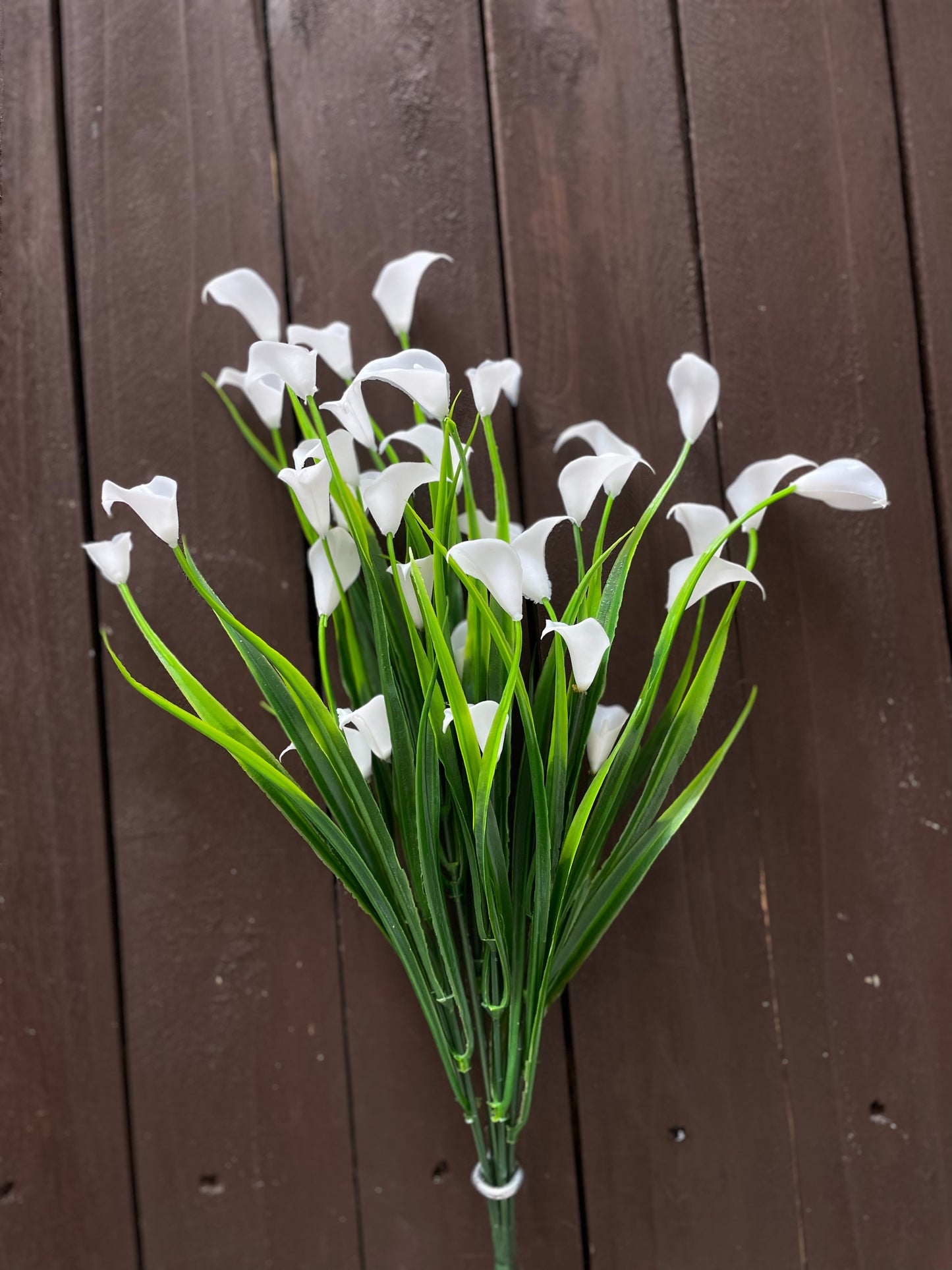 SINGLE CALLA LILY BUNCH WHITE
