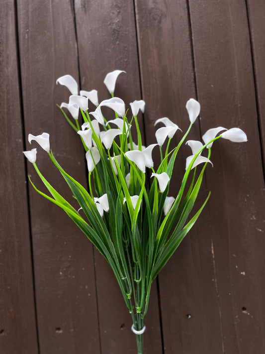 SINGLE CALLA LILY BUNCH WHITE