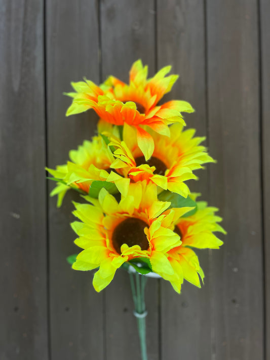 5 HEAD BUDGET SUNFLOWER