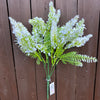 ASTILBE