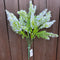 ASTILBE