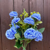 CARNATIONS
