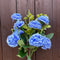 CARNATIONS