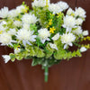 CHRYSANTHEMUM