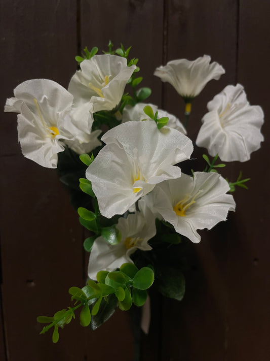 30cm MORNING GLORY BUSH IVORY
