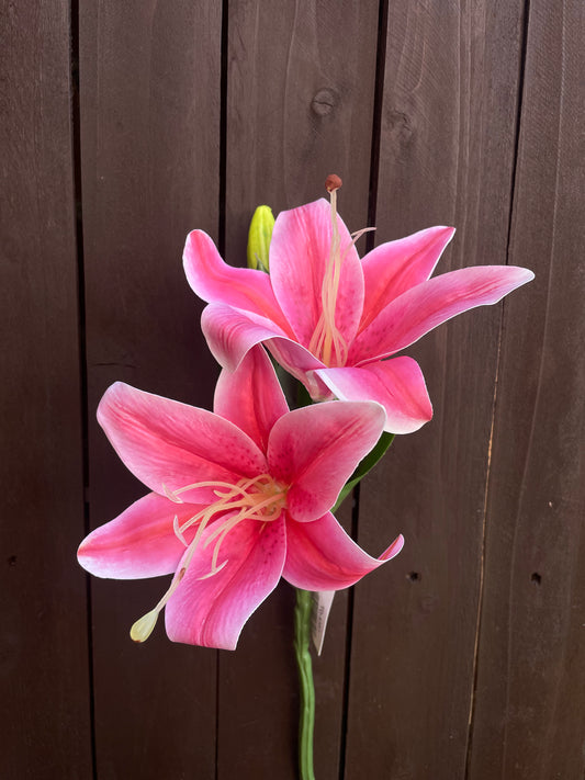 DOUBLE HEAD TIGER LILY PINK