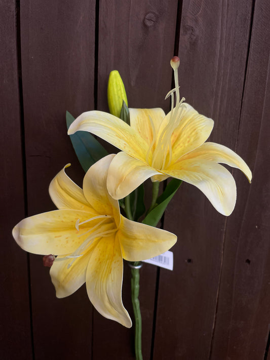 DOUBLE HEAD TIGER LILY YELLOW