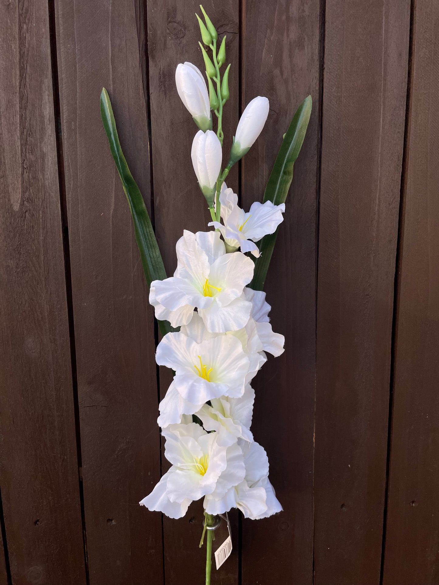 78cm GLADIOLUS SPRAY IVORY