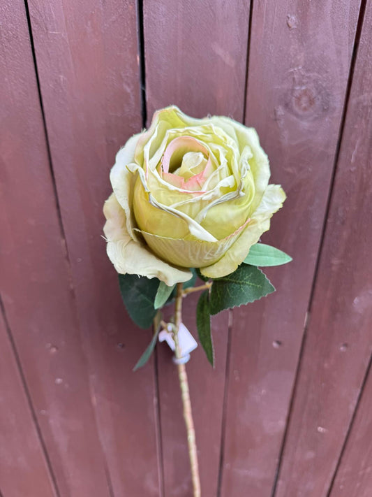 67cm PREMIUM SINGLE LARGE CRUNCH GLOBE ROSE GREEN