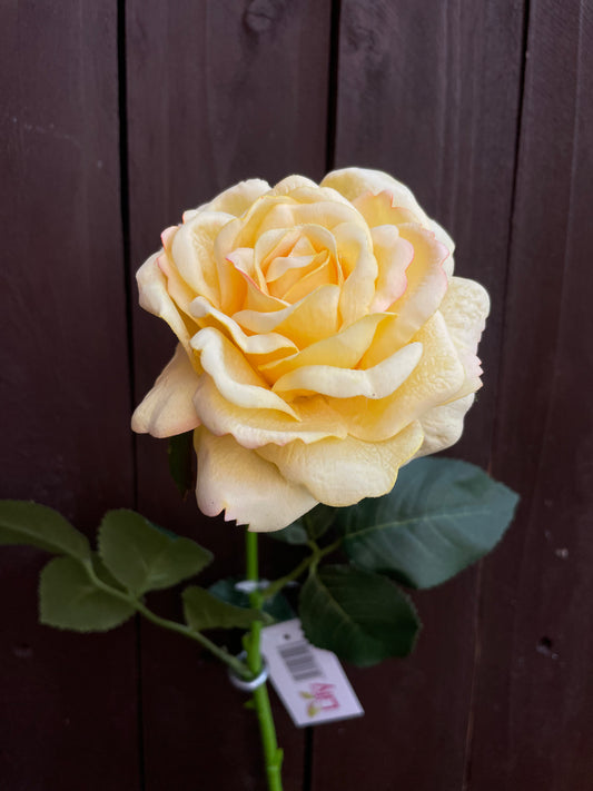 63cm REAL TOUCH TEA ROSE LEMON