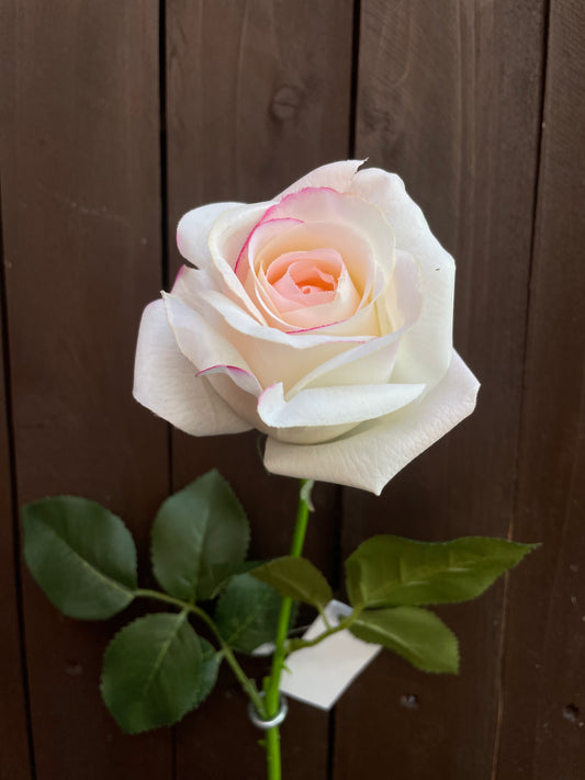 65cm REAL TOUCH LARGE ROSEBUD CREAM/PINK