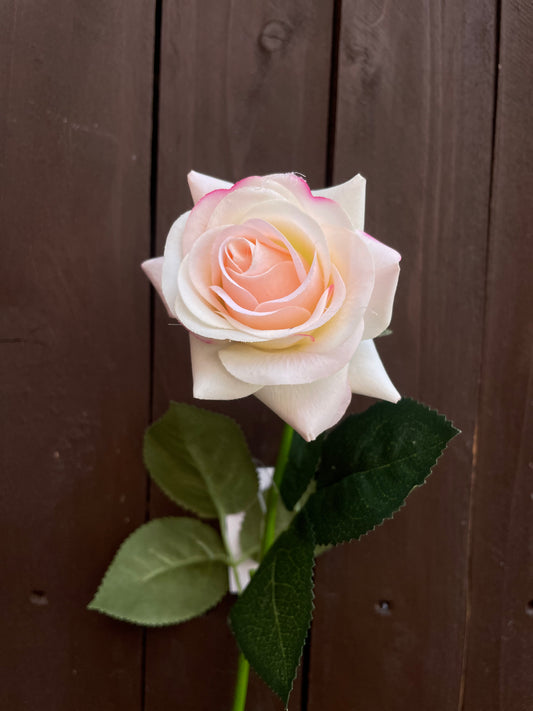 42cm REAL TOUCH SINGLE DIAMOND ROSE CREAM/PINK TIPPED